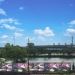 Friends of the East River