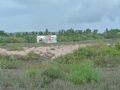 Careyes Mural 2012