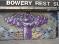 Gates Project Murals 2011