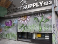 Gates Project Murals 2011