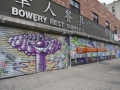 Gates Project Murals 2011