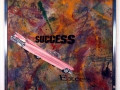 SUCCESS EXCESS