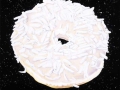 COCONUT DONUT IN SPACE