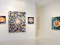 AMERIKULTURE Installation 2013