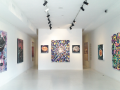 AMERIKULTURE Installation 2013