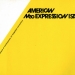 "AMERICAN Neo EXPRESSIONISTS"