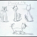 PUSSELLA