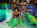 "JELLO BACCHANALIA"