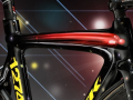 "LIVESTRONG 2009"
