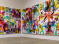 Honor Fraser Gallery Installation 2013